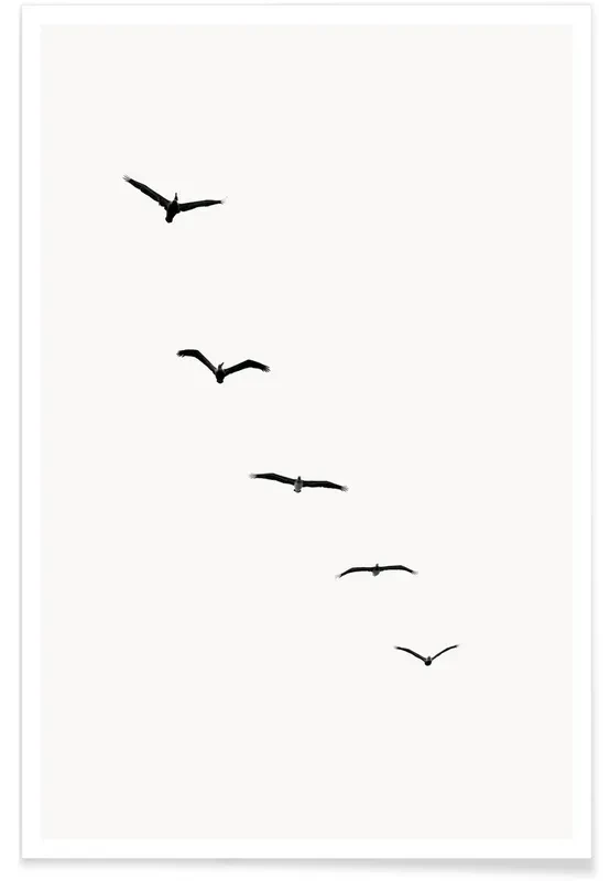 vogels